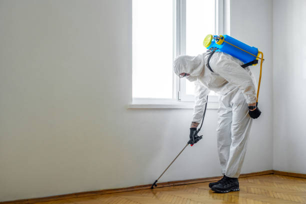 Best Pest Control Near Me  in Sandy Hook, CT