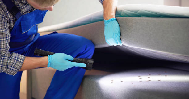 Trusted Sandy Hook, CT Pest Control Experts