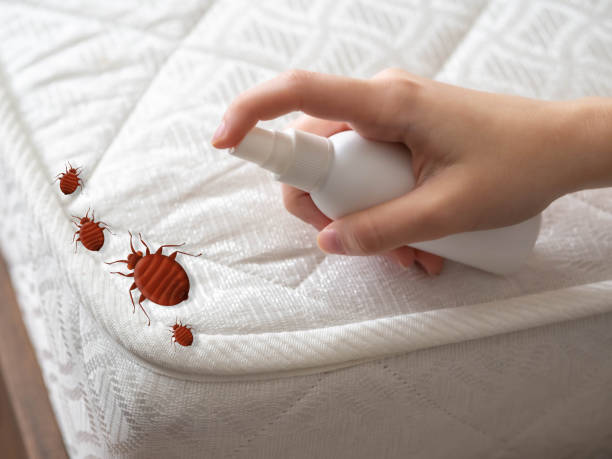 Best Cockroach Control Services  in Sandy Hook, CT